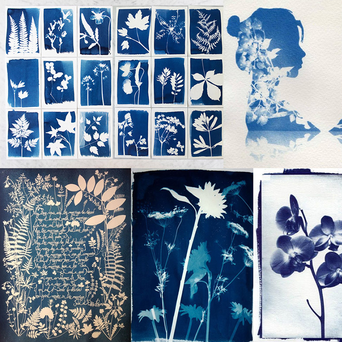 cyanotype moodboard