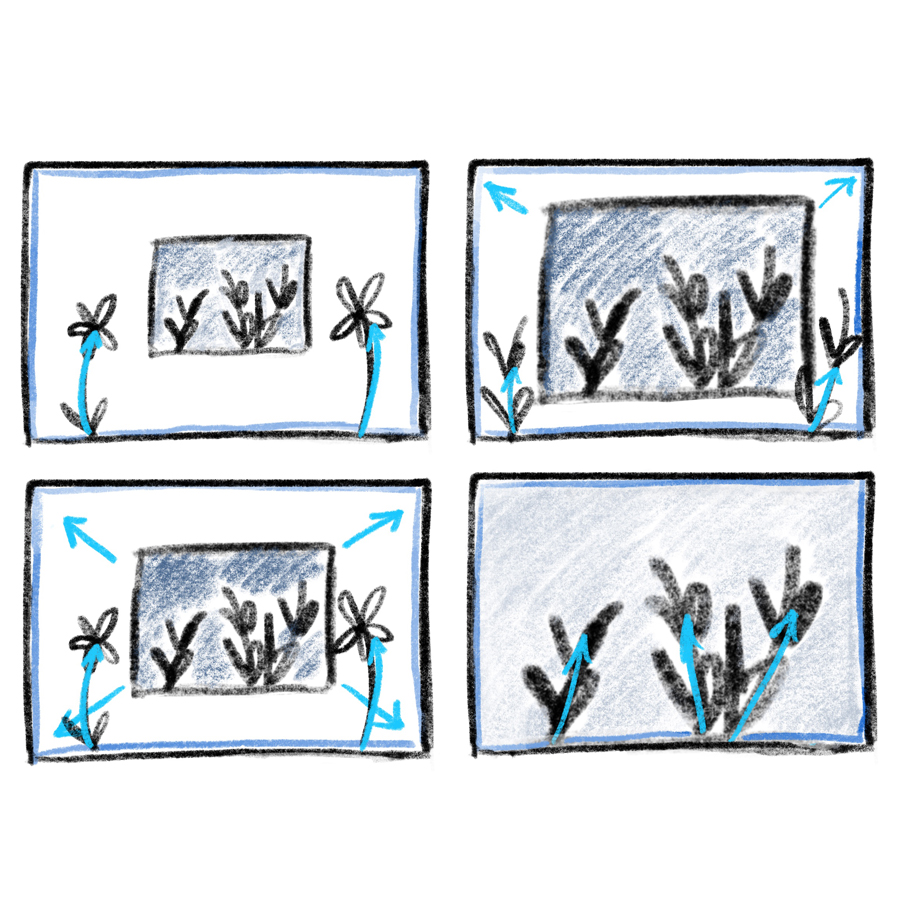 other cyanotype storyboard