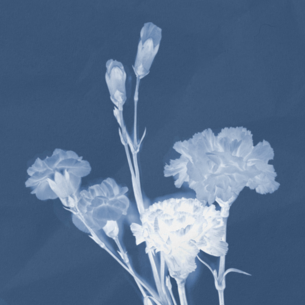 a fake cyanotype